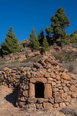 Tenerife Kanarya Adası 'ndaki 