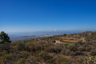 Tenerife Kanarya Adası 'ndaki 