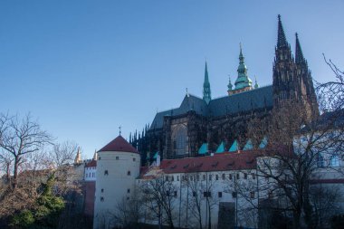 Prag 'daki St. Vith Katedrali