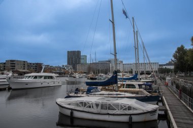 Antwerp, Belçika 31 Ekim 2023, Antwerp 'teki Willemdok marinası.