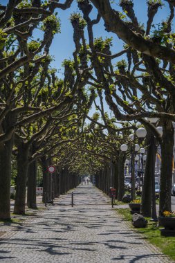 Wiesbaden, Almanya 11 Mayıs 2024, Wiesbaden 'de Wilhelmstrasse' de yaya yolu  