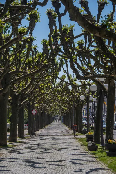 Wiesbaden, Almanya 11 Mayıs 2024, Wiesbaden 'de Wilhelmstrasse' de yaya yolu  