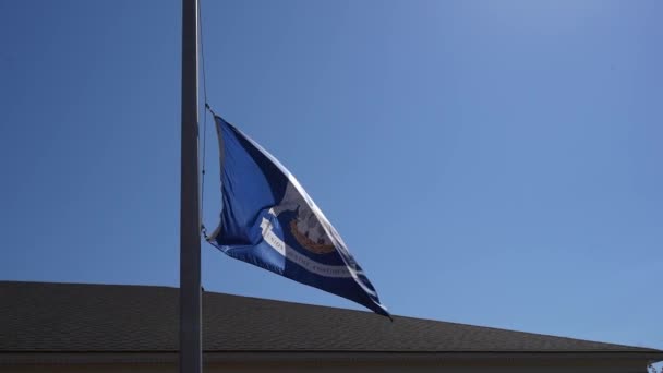 ルイジアナ州の旗は旗竿に掲揚され 青いフィールドと州のモットーは ユニオン ジャスティス コンフィデンス である — ストック動画