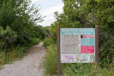 Cottonwood, AZ - 28 Eylül 2021 Verde Nehri Greenway Eyaleti Doğal Alanı Arizona 'nın son akan nehirlerinden birine bitişiktir..