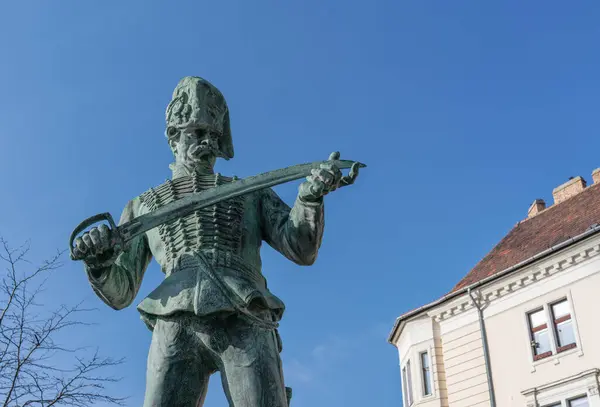 Budapeşte, Macaristan - 31 Ocak 2025: Şato Bölgesindeki 