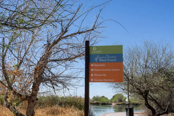 Gilbert, Arizona - 25 Mart 2025: Su Çiftliği 'ndeki Riparian Konservesi' nde bir göl ve geri kazanılmış suyla dolu 7 gölet vardır..