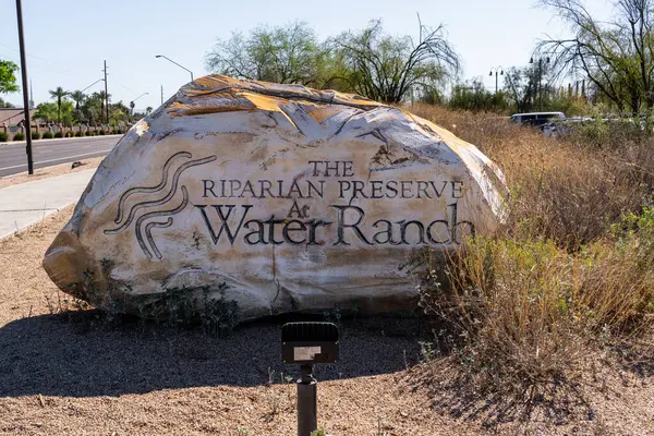 Gilbert, Arizona - 25 Mart 2025: Su Çiftliği 'ndeki Riparian Konservesi' nde bir göl ve geri kazanılmış suyla dolu 7 gölet vardır..