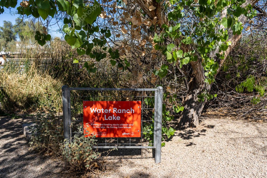 Gilbert, Arizona - March 25, 2025: The Riparian Preserve at Water Ranch features a lake and 7 ponds filled with reclaimed water that serve as a wildlife habitat with over 4.5 miles of hiking trails.