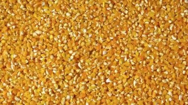 Kırsal ahşap masadaki kurutulmuş mısır sarısının en üst görüntüsü. arkaplan, kapat