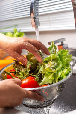 Ev mutfağında biber, marul ve domates yıkayan eller.