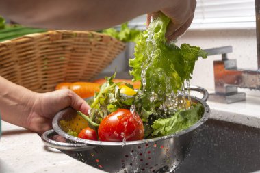 Ev mutfağında biber, marul ve domates yıkayan eller.