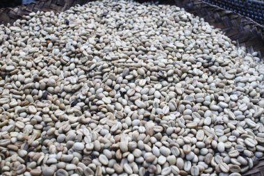 Önceki hayatında kahve çekirdeği miydin? Öyle olmalı, çünkü günüme sensiz başlayamam..