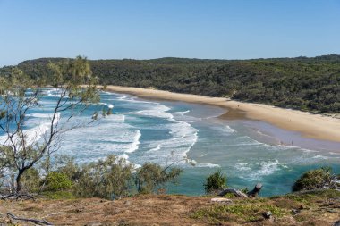 Noosa Heads 'deki Alexandria Körfezi. Günışığı Sahili, Queensland.