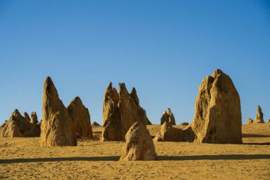 Batı Avustralya 'daki Zirveler Çölü.