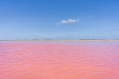 Batı Avustralya 'nın Port Gregory şehrinde Hutt Gölü (Pembe Göl).