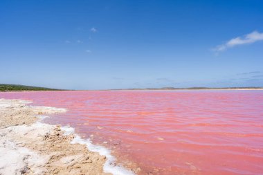 Batı Avustralya 'nın Port Gregory şehrinde Hutt Gölü (Pembe Göl).