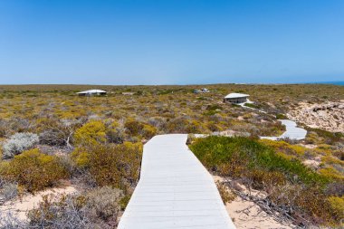 Batı Avustralya, Kalbarri Ulusal Parkı 'ndaki Bigurda Patikası..