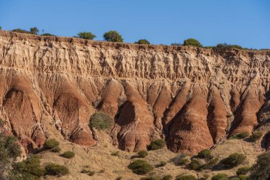 Cliffs at Hallett Cove Conservation Park, South Australia. clipart