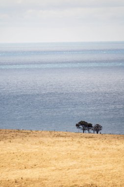 Güney Avustralya, Kanguru Adası 'nda geniş bir manzara.