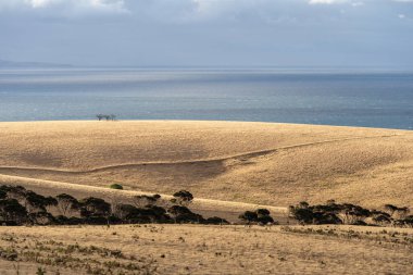 Güney Avustralya, Kanguru Adası 'nda geniş bir manzara.