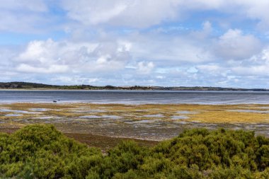 Amerikan Nehri 'nde Pelikan Gölü, Kanguru Adası, Güney Avustralya