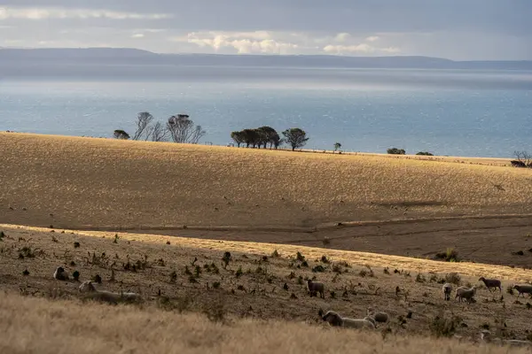 Stock image Vast landscape on Kangaroo Island, South Australia