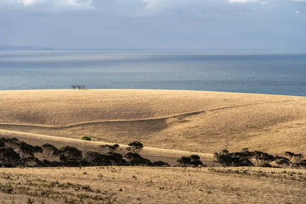 Güney Avustralya, Kanguru Adası 'nda geniş bir manzara.