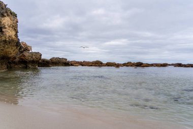 Stokes Körfezi Sahili, Kanguru Adası, Güney Avustralya