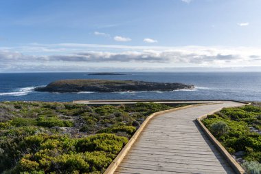 Flinders Chase Ulusal Parkı, Kanguru Adası, Güney Avustralya 'daki Amirallere giden tahta yol.