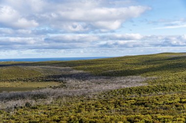 Flinders 'daki Bushland Chase Ulusal Parkı, Kanguru Adası, Güney Avustralya