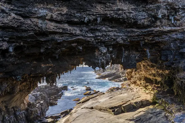 Stock image Admirals Arch in Flinders Chase National Park, Kangaroo Island, South Australia