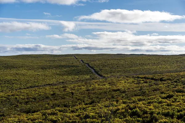 stock image Road through the bushland in Flinders Chase National Park, Kangaroo Island, South Australia