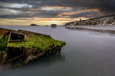 Güney Avustralya Cape Banks 'deki Balık Yıldızı enkazı.