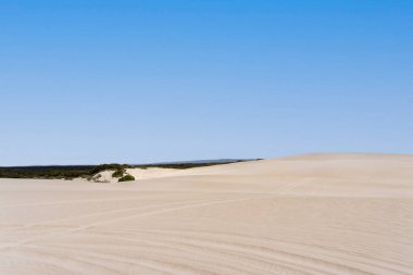 Little Sahara 'da kum tepesi, Kanguru Adası, Güney Avustralya