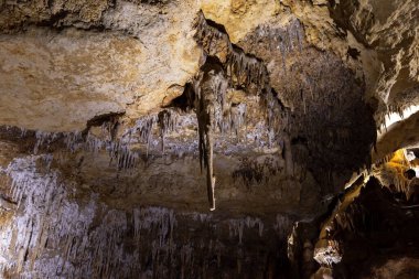 Naracoorte Mağarası 'ndaki Alexandra Mağarası Güney Avustralya Ulusal Parkı