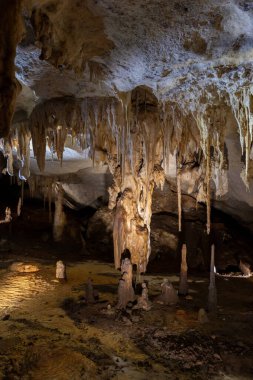 Naracoorte Mağarası 'ndaki Alexandra Mağarası Güney Avustralya Ulusal Parkı