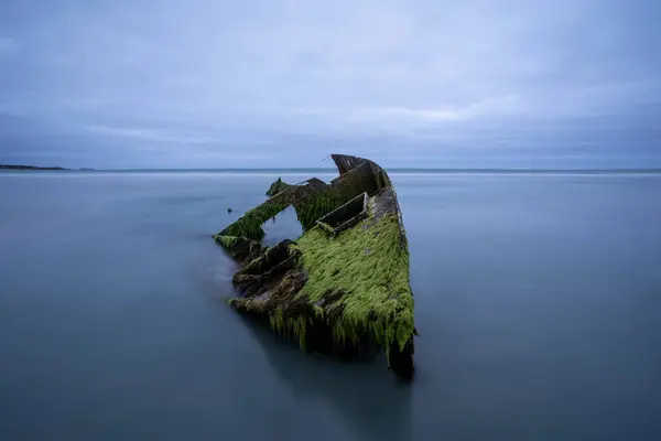 Güney Avustralya Cape Banks 'deki Balık Yıldızı enkazı.