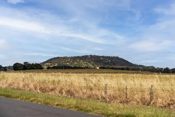 stock image View of Mt Schank, South Australia