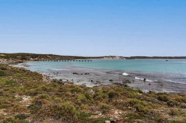 Güney Avustralya, Kanguru Adası 'ndaki Vivonne Körfezi