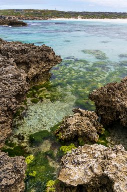 Güney Avustralya, Kanguru Adası 'ndaki Hanson Körfezi