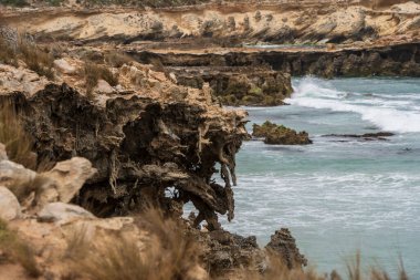 Cape Buffon Walking Trail, Southend, Güney Avustralya boyunca engebeli deniz manzarası.