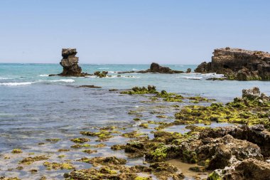 Cape Buffon Walking Trail, Southend, Güney Avustralya boyunca engebeli deniz manzarası.
