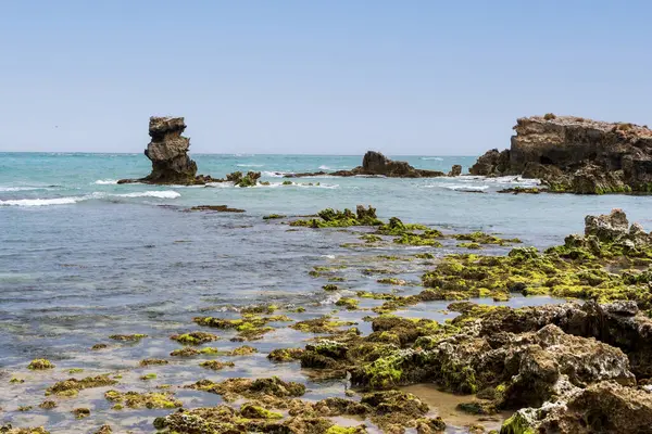 Cape Buffon Walking Trail, Southend, Güney Avustralya boyunca engebeli deniz manzarası.