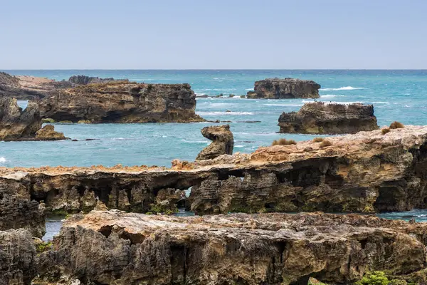 Cape Buffon Walking Trail, Southend, Güney Avustralya boyunca engebeli deniz manzarası.