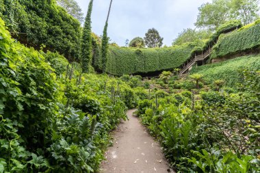 Güney Avustralya 'daki Gambier Dağı' ndaki Umpherston obruğu..