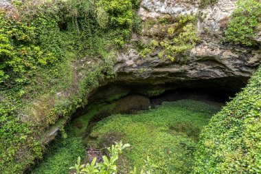 Gambier Dağı Mağara Bahçesi, Güney Avustralya.