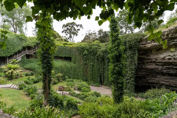 stock image Umpherston Sinkhole in Mount Gambier, South Australia.