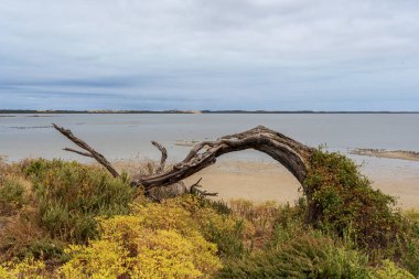 Güney Avustralya 'daki Coorong Ulusal Parkı' nda tuzlu su gölü..
