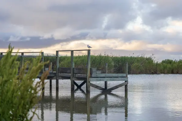 stock image Jetty on Lake Albert, Meningie, South Australia.