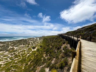 Boardwalk at Seal Bay, Kangaroo island. clipart